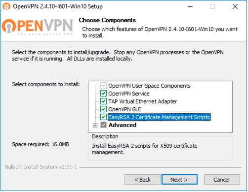 OpenVPN Custom Install
