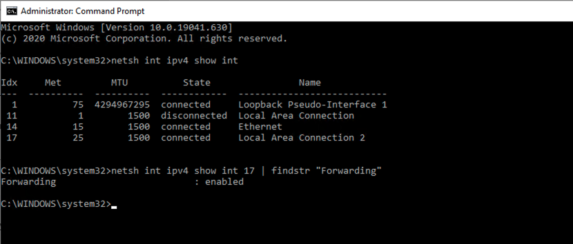 Enable IP Forwading