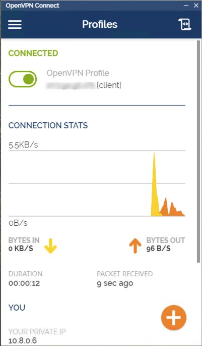 OpenVPN Connect Tool