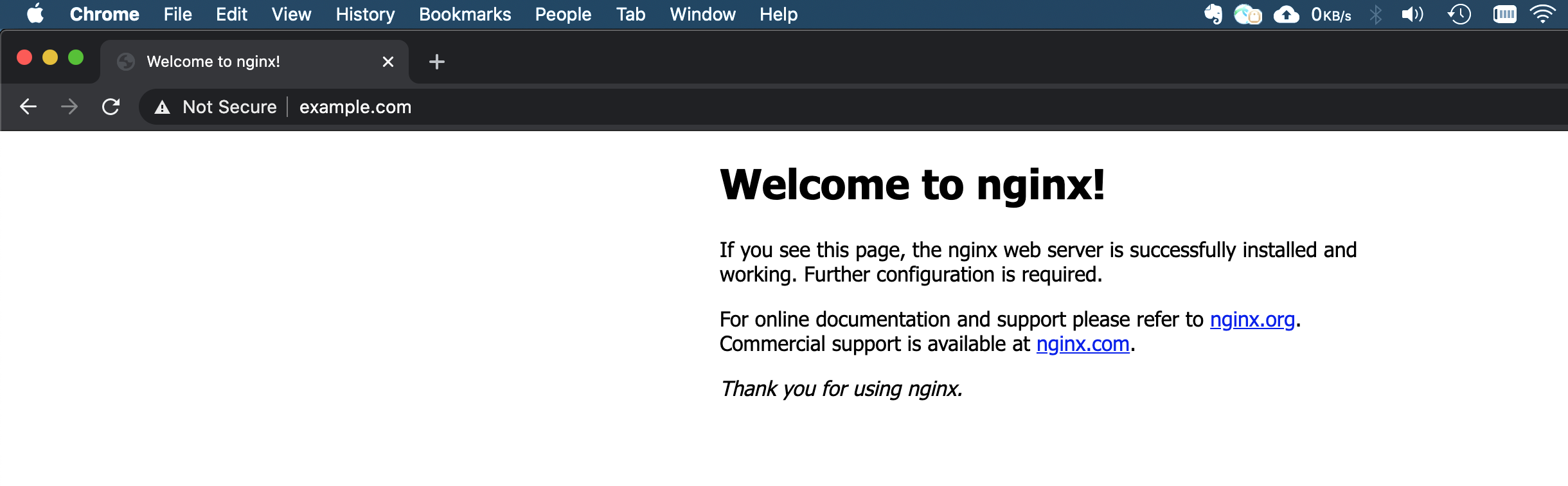 Nginx Welcome Site