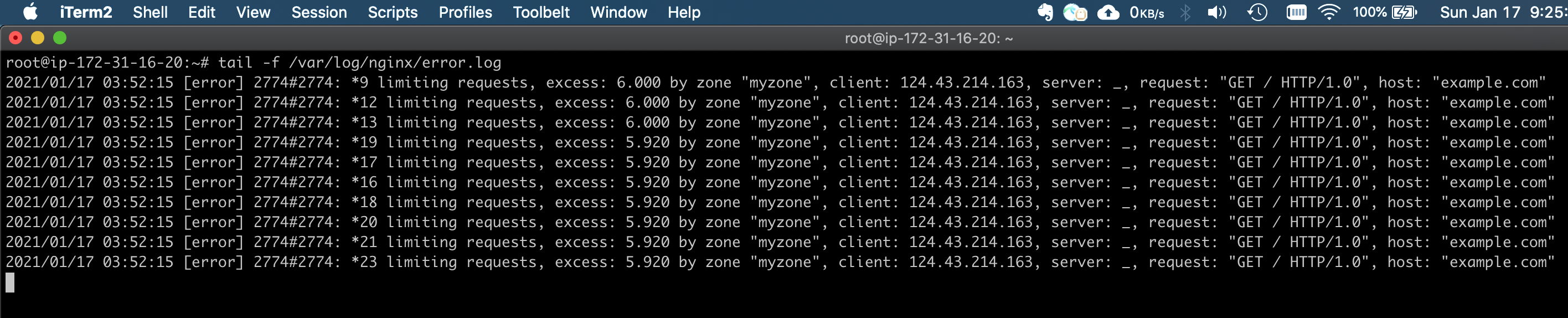 Nginx Error Log Output