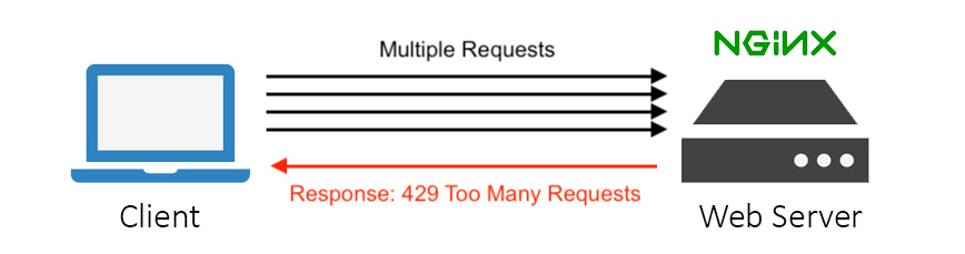 429 Too Many Requests