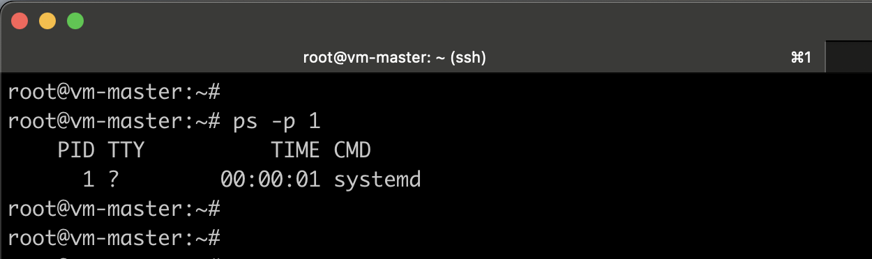 Find Init System