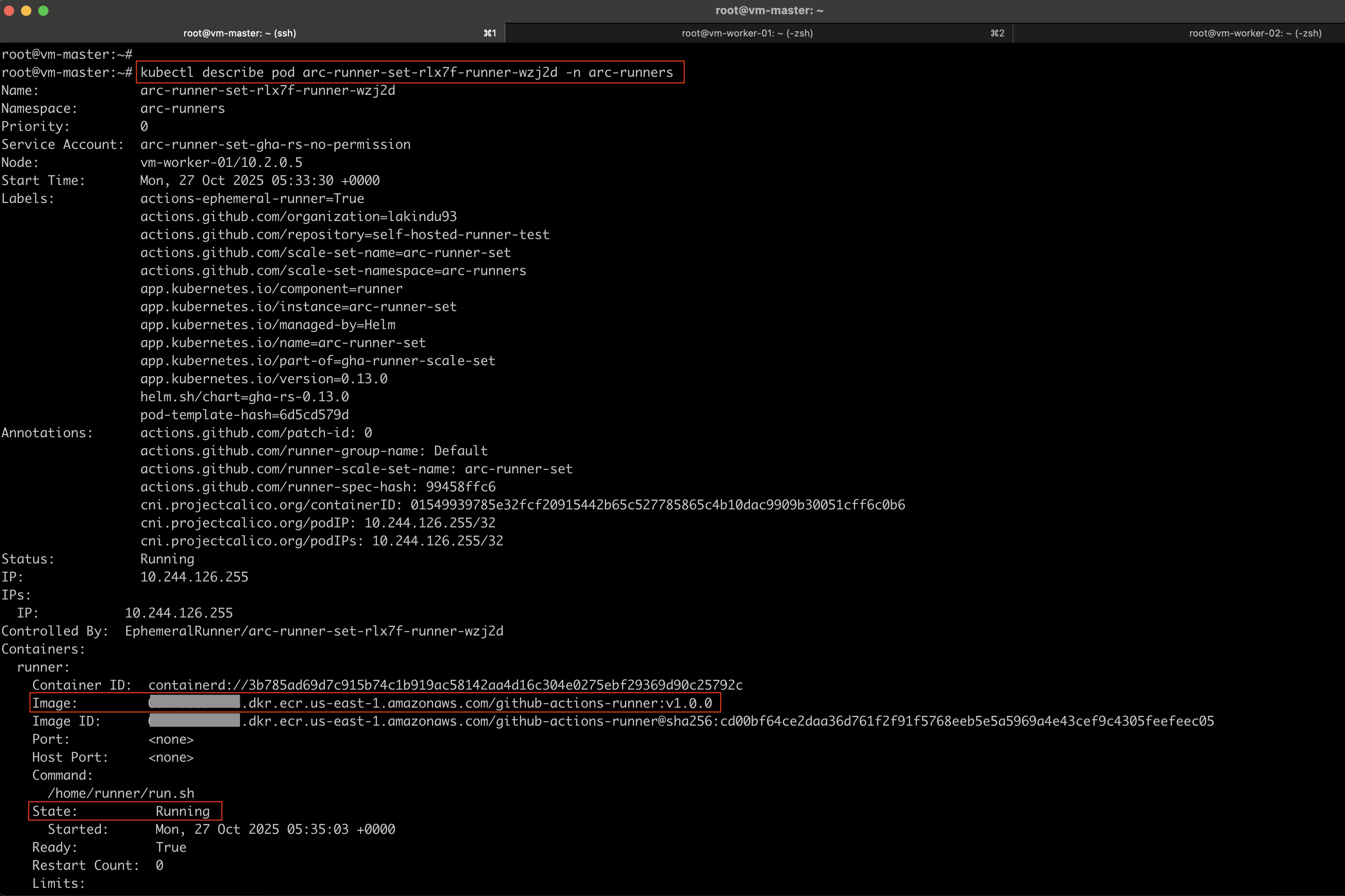 Custom Runner Image Verification on Pods