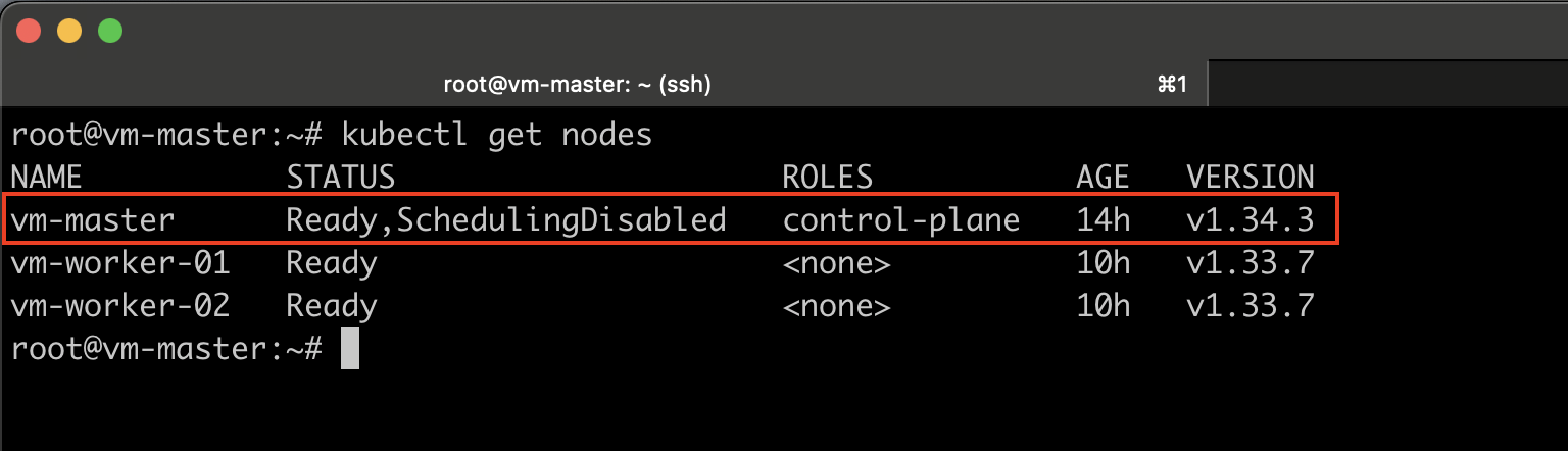 kubectl get nodes - ShedulingDisabled state